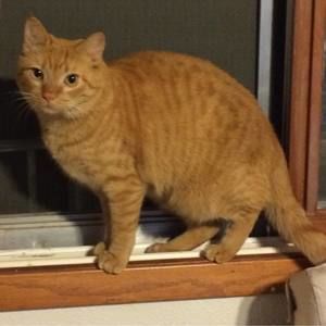 Meet your Posher, Chuck